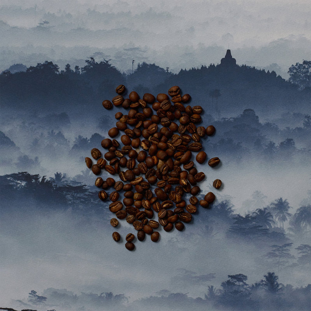 Sumatra Kerinci Solok Radjo Wet Hulled