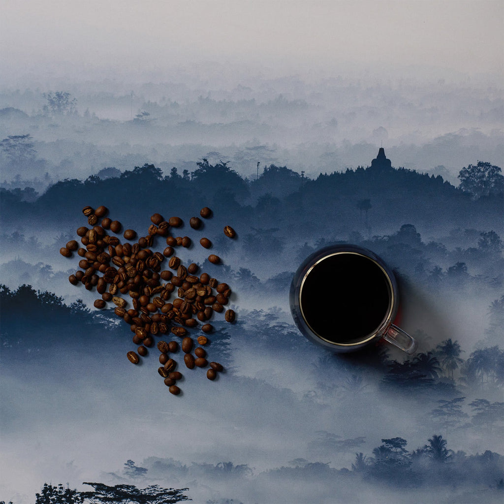 Sumatra Kerinci Solok Radjo Wet Hulled