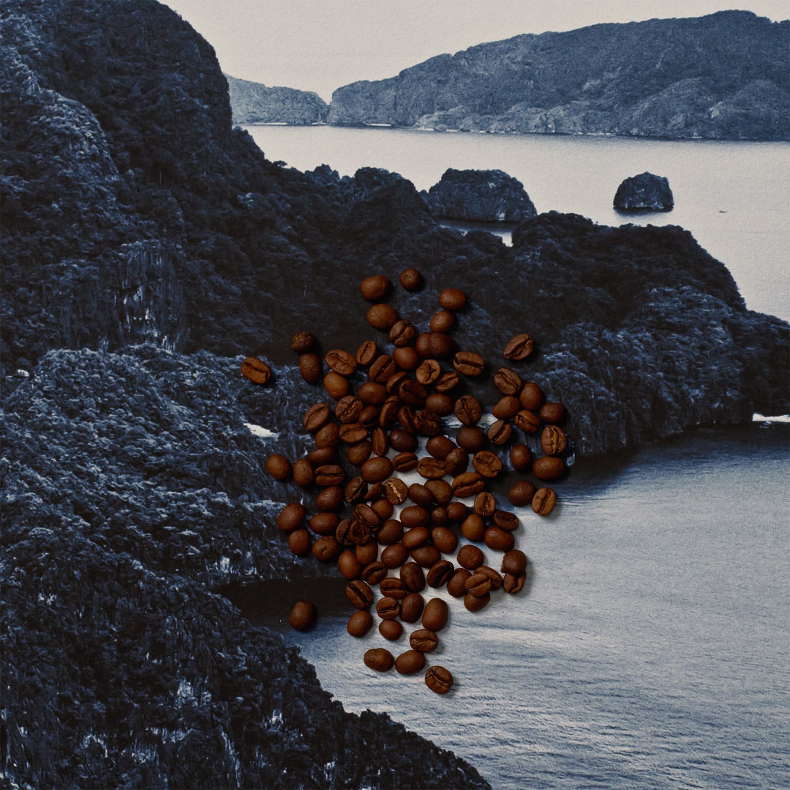 Philippines Sitio San Roque Natural