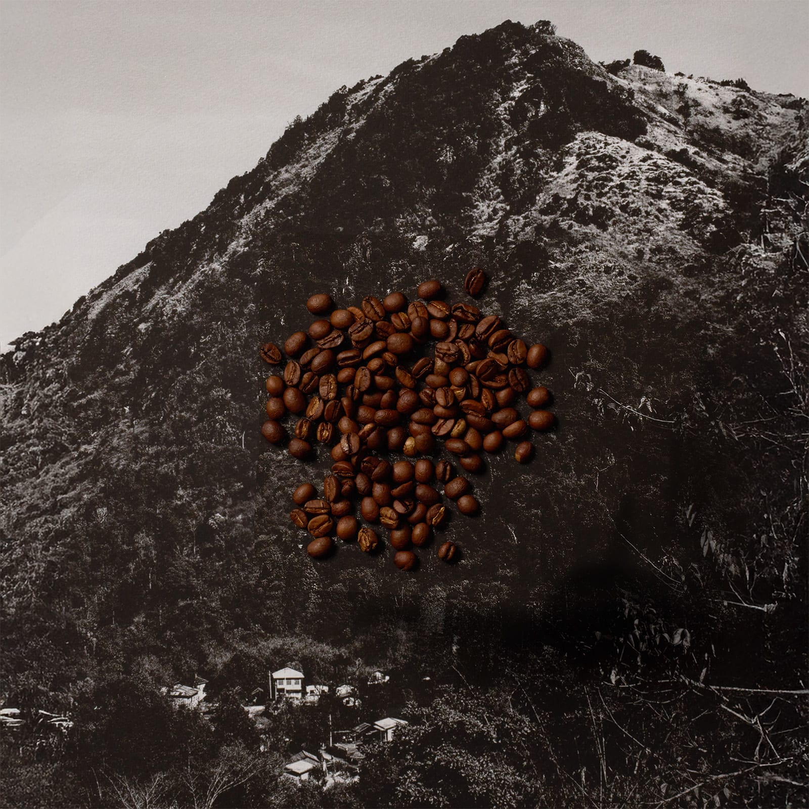 Myanmar Shwe Taung Thu Natural