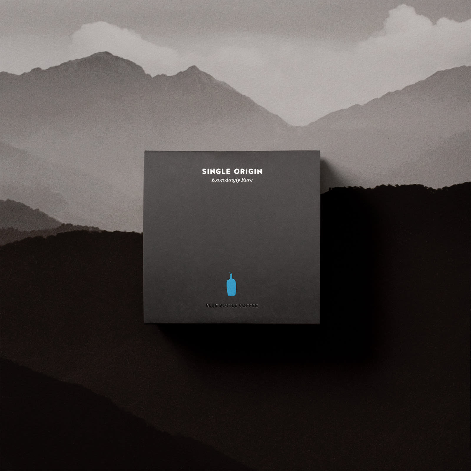 Exceedingly Rare Taiwan COE #5 Ching Ye Coffee Estate